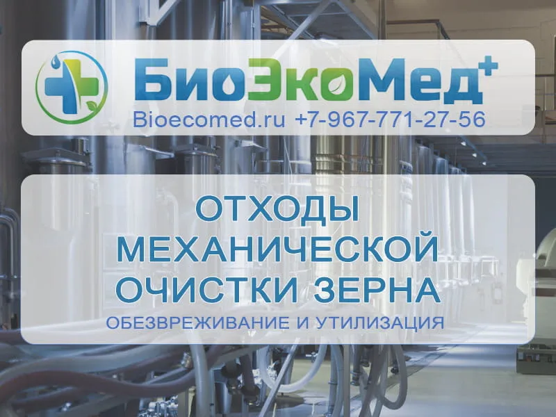 Отходы очистки зерна